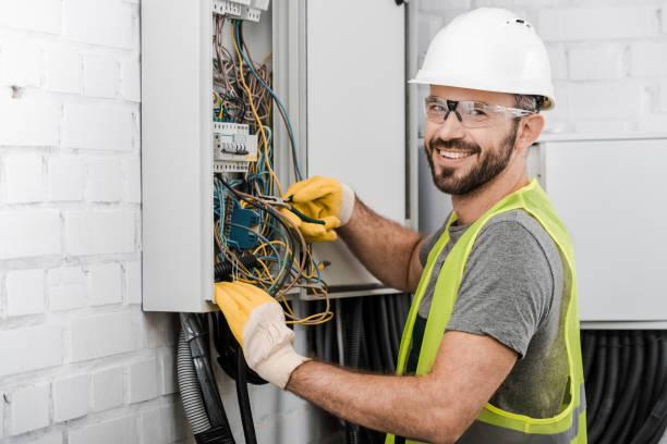 Best Electrical System Inspection  in Andalusia, IL
