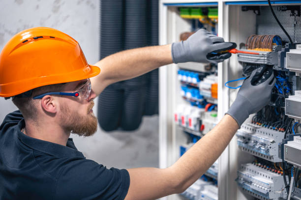 Best Licensed Electrician  in Andalusia, IL